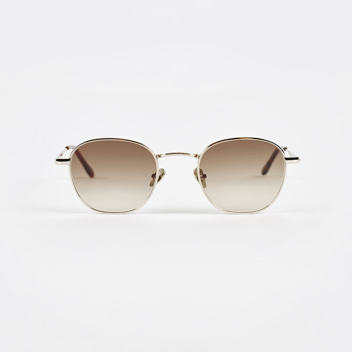 Palm Spring Glasses - Gold Frame