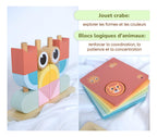 Set Montessori Estimulación 24 A 36 Meses