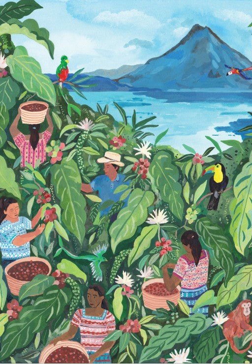 Puzzle de 1000 Piezas Piezas y Paz - GuatemalaPiezas y Paz