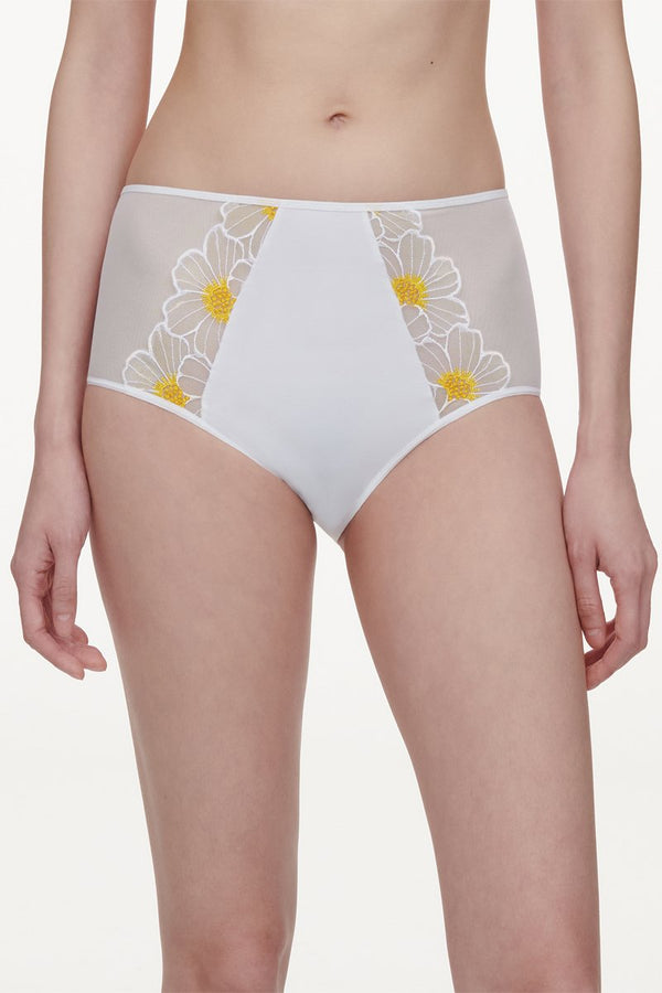 Lush Briefs - Marguerite
