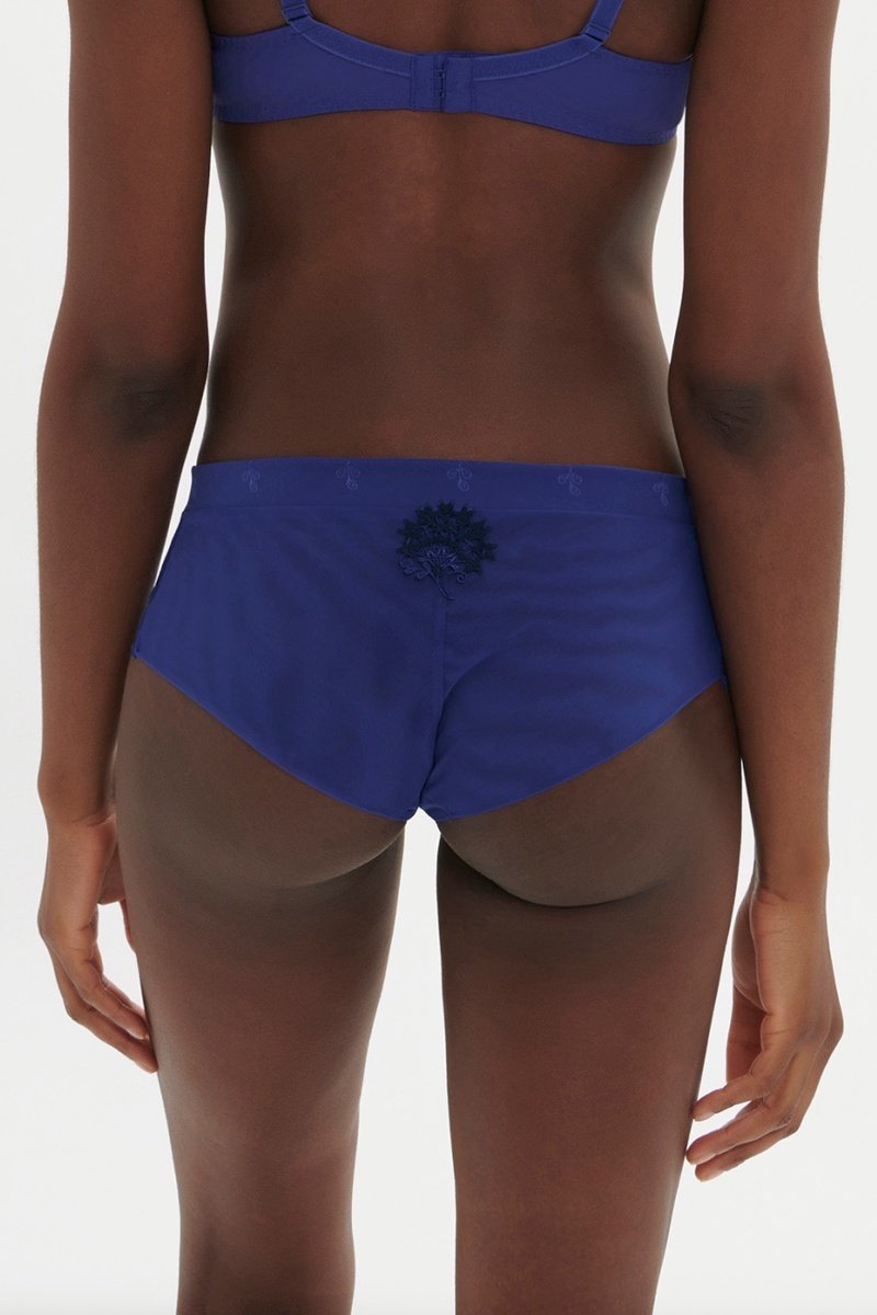 Wish Shorty Briefs - Blue