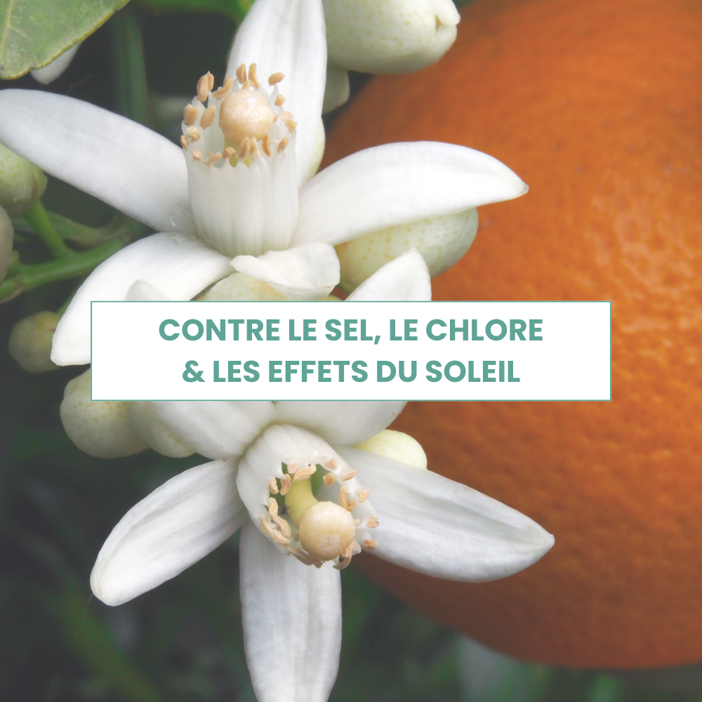 La Trousse Solaire