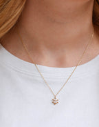 Collar Eddy
