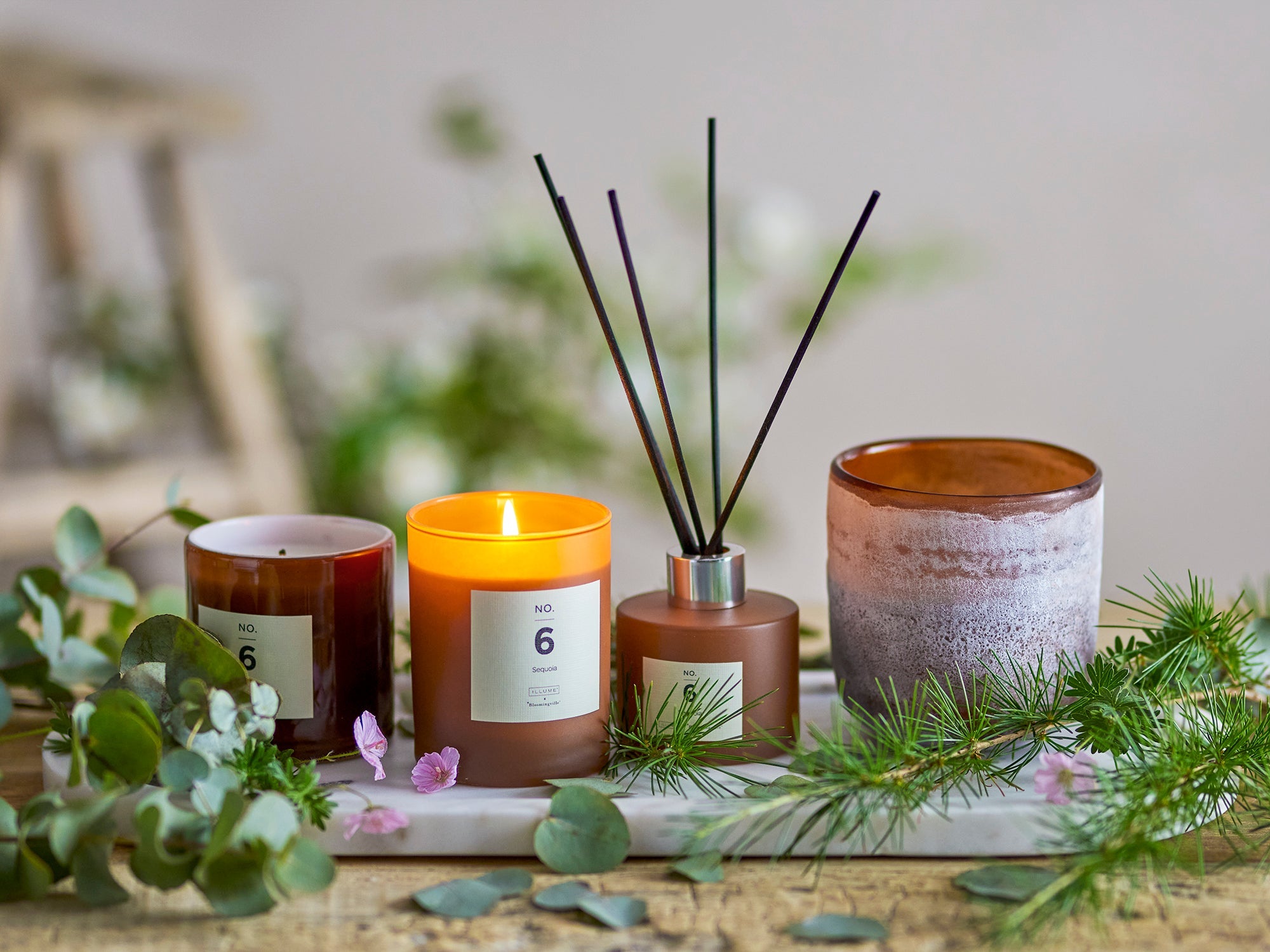 No. 6 - Sequoia - Lot de 6 Bougies Parfumées - Marron - Cire Naturelle