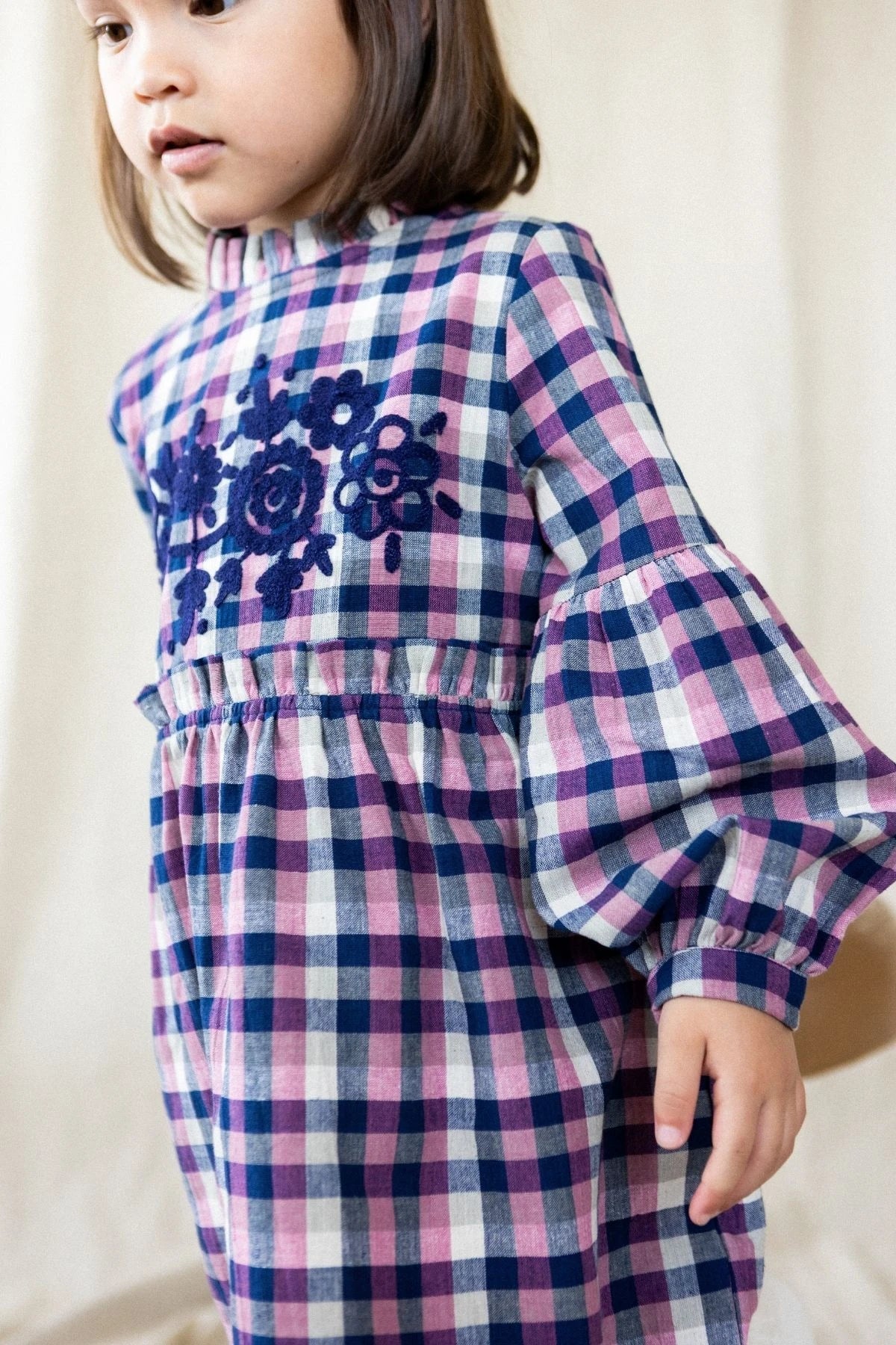 Sanjanai Dress