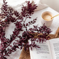 Botte Ruscus Bordeaux