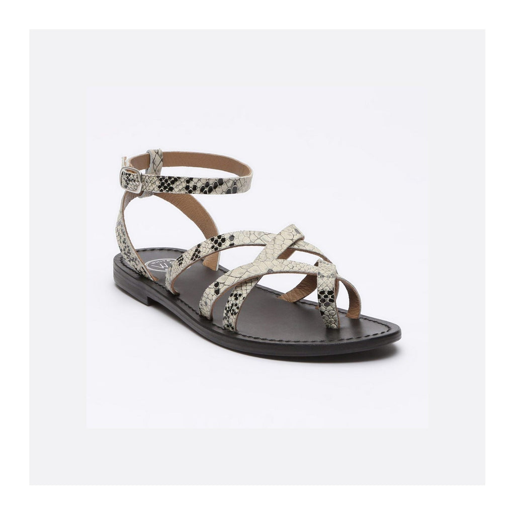 White Sun - Sandales Babylonia - Python - Femme