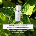 Booster Cuir Chevelu Gras