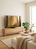 Samsung - OLED 77" S95F – QD-OLED TV 4K 165Hz Premium