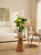 Anthurium Blanc – Plante D'Intérieur