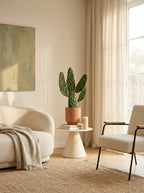 Opuntia Rubescens – Plante D'Intérieur