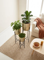 Set de 3 maceteros de metal dorado con pie negro Champagne Planter