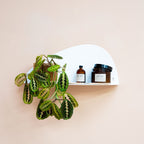 Wall Shelf - Le Complice - Glossy White