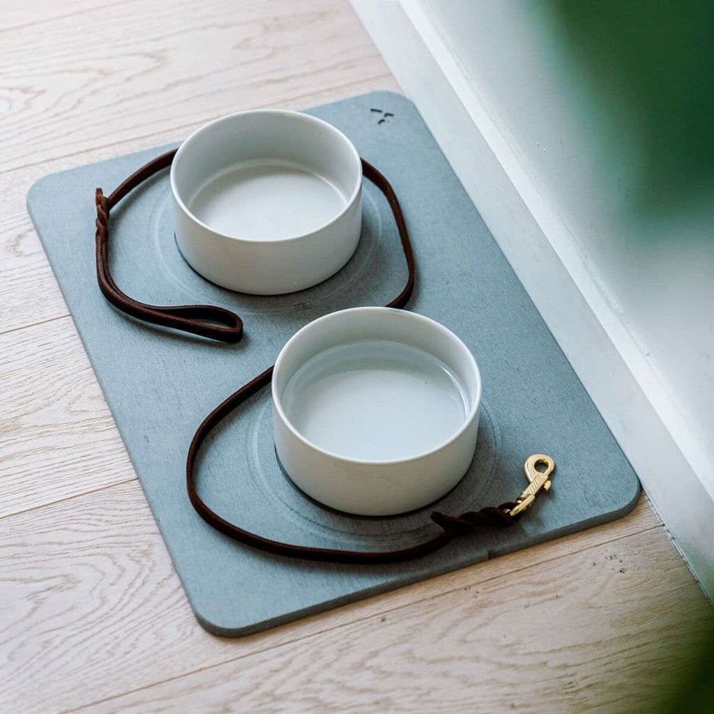 Diatomite Stone Dog and Cat Bowl Mat