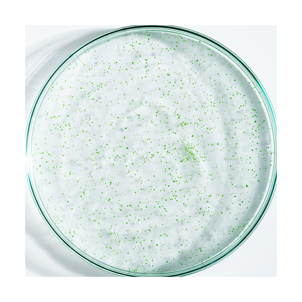 Exfoliante Activo Anticaspa