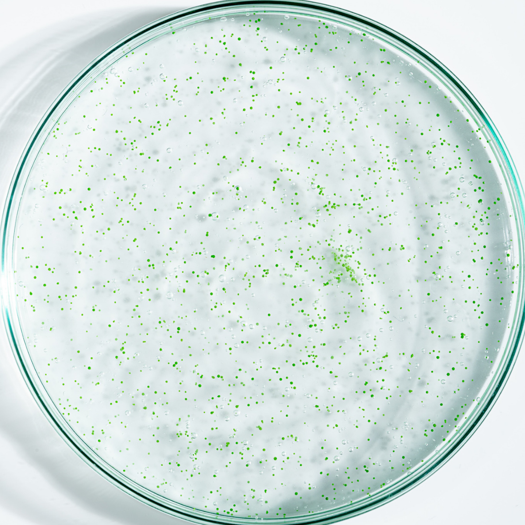 Exfoliante Activo Anticaspa