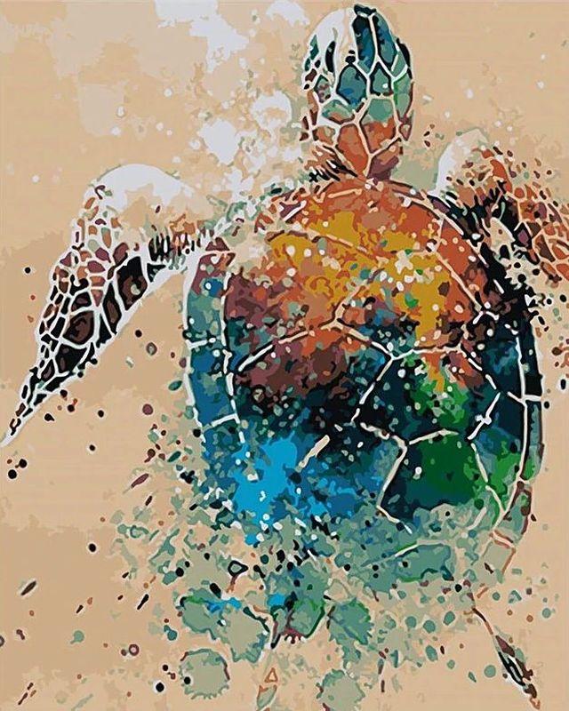 Paint By Numbers - Designer Turtle