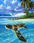 Paint by Numbers - Relaxed Turtle