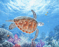 Peinture Par Numéros - Tortue En Ballade