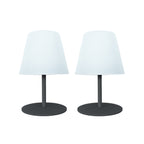 Twins - Lámpara de mesa inalámbrica - Acero - Gris