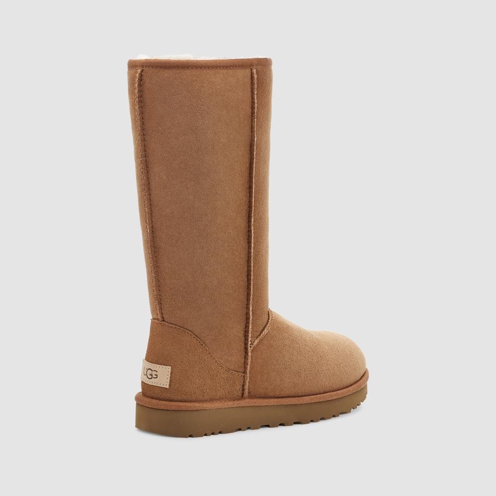 Botas Classic Tall Ii - Marrón