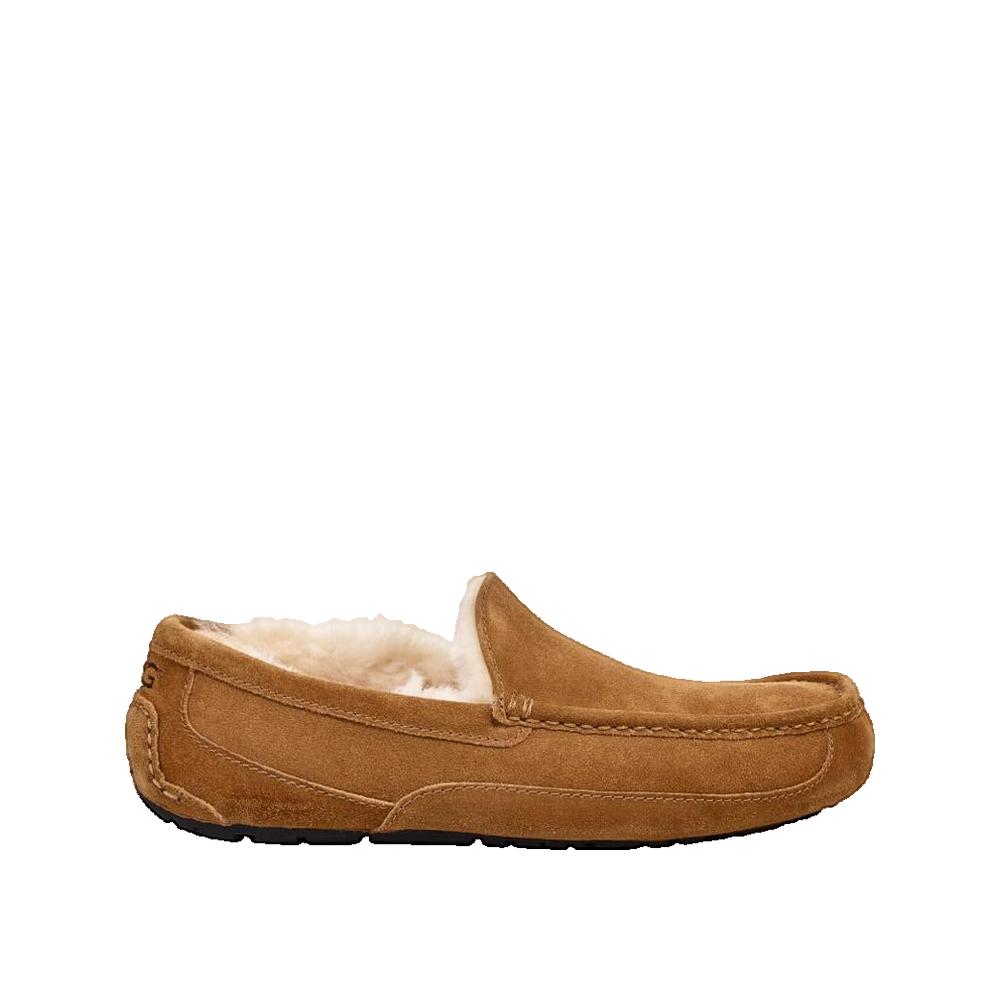 Pantuflas Ascot - Marrón