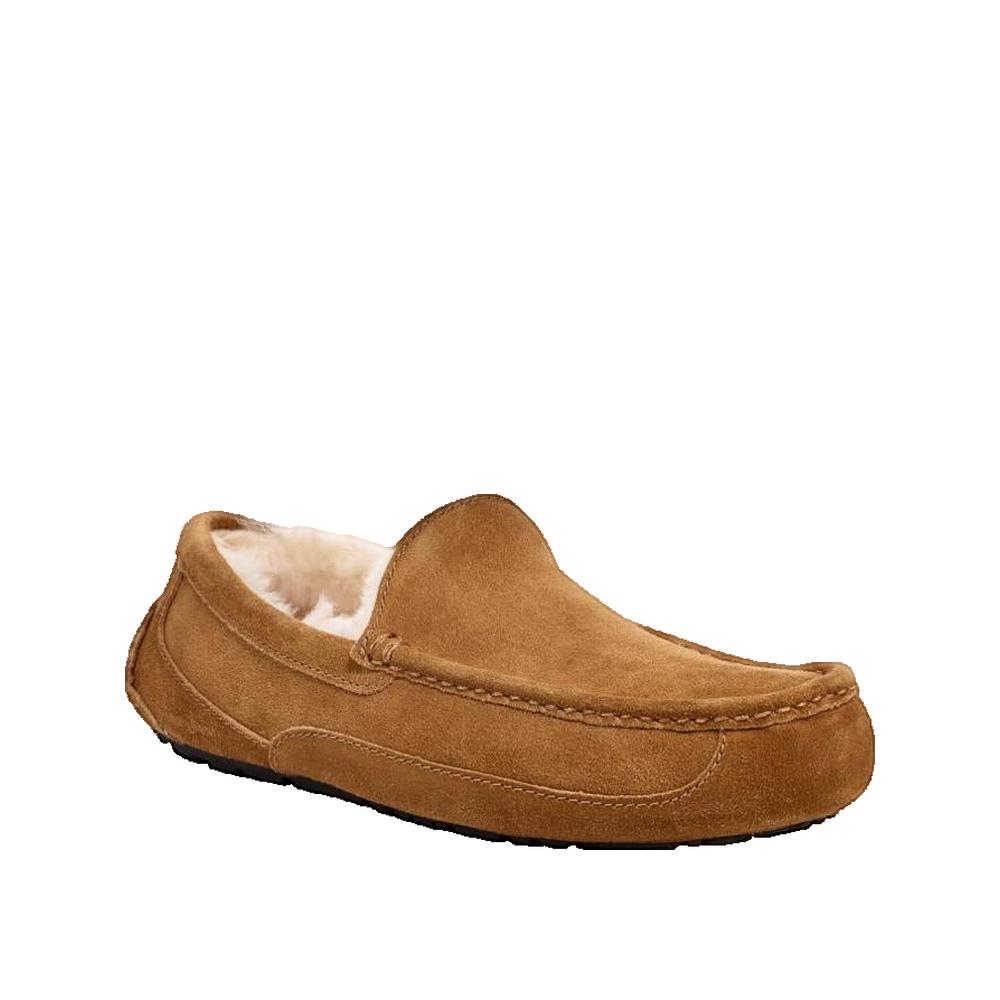Pantuflas Ascot - Marrón