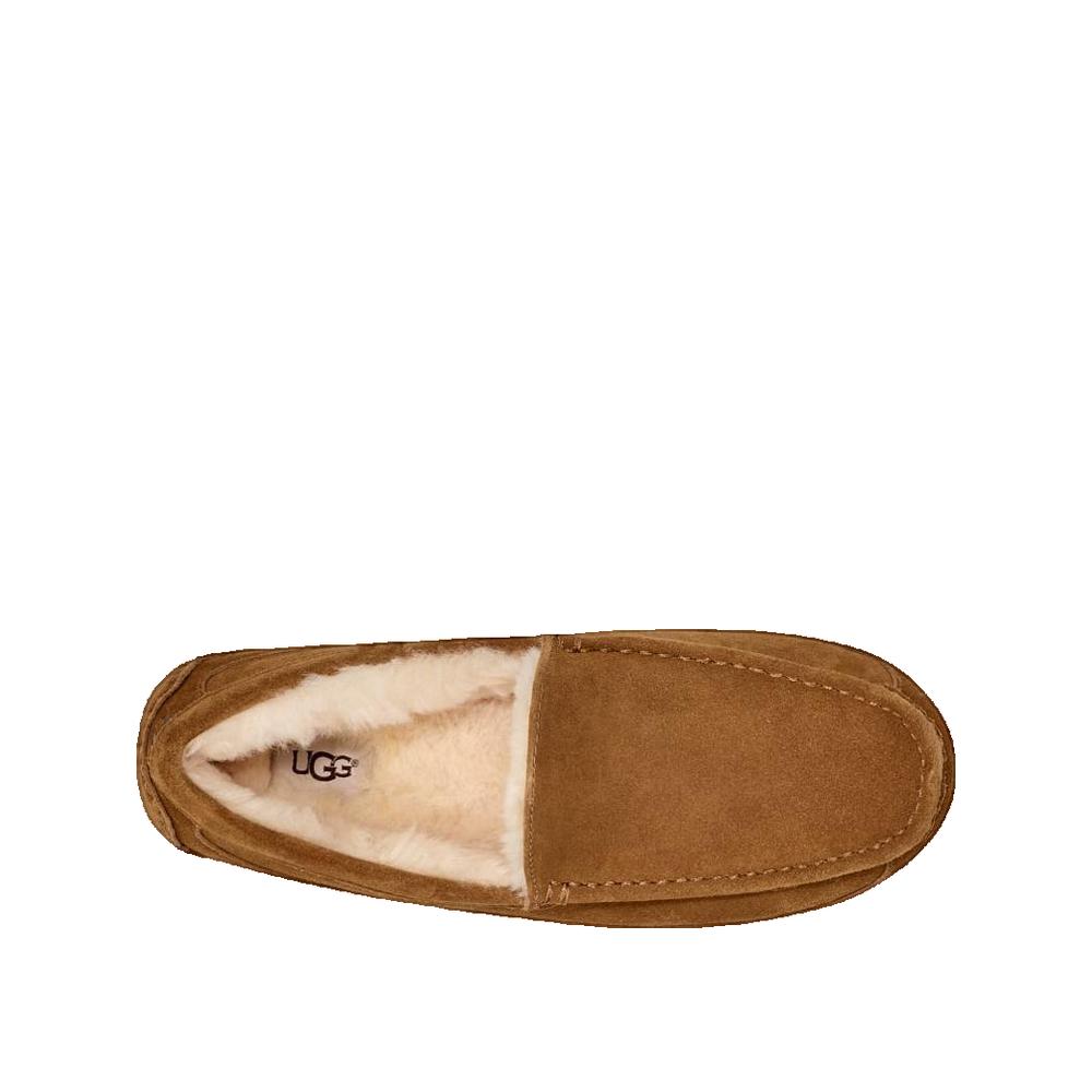 Pantuflas Ascot - Marrón
