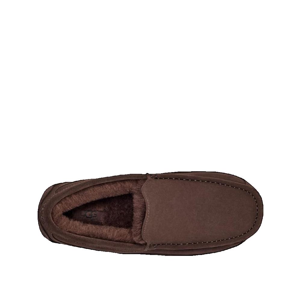 Ascot Slippers - Cocoa