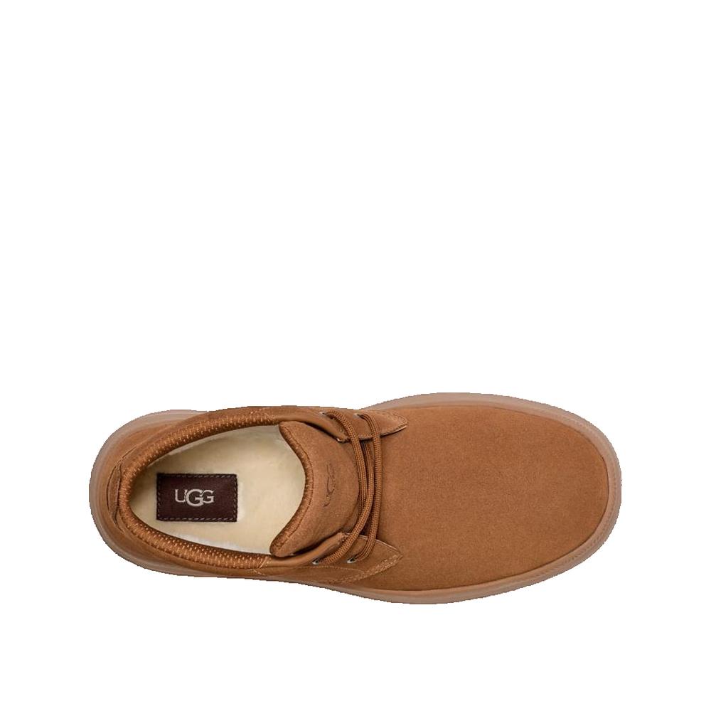 Baskets Burleigh Chukka - Châtaigne