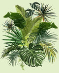 Peinture Par Numéros - Verdure