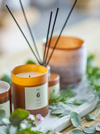 No. 6 - Sequoia - Vela Perfumada - Marrón - Cera Natural