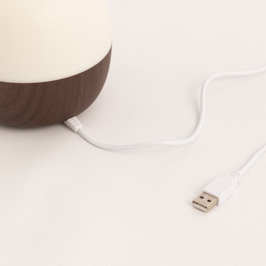 Aroma Studio - Aroma Diffuser, Humidifier & LED Lighting - Dark Wood