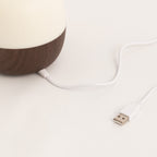 Aroma Studio - Aroma Diffuser, Humidifier & LED Lighting - Dark Wood